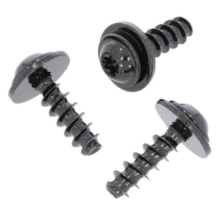 Black Metal Torx Head Body Screw, BMW 07129909270