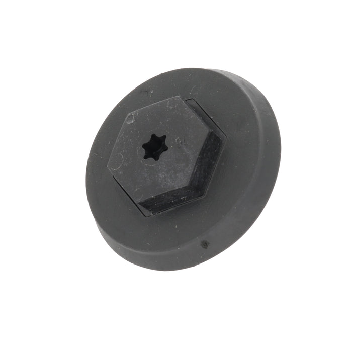 Roof Rack Rail Hole Weatherproof Blanking Plug / Bolt, Ford 2686557