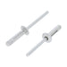 Aluminium Blind Rivet, Citroen 6973E0 - VehicleClips